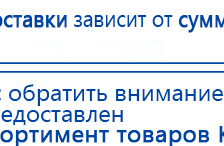 СКЭНАР-1-НТ (исполнение 01)  купить в Ноябрьске, Аппараты Скэнар купить в Ноябрьске, Скэнар официальный сайт - denasvertebra.ru